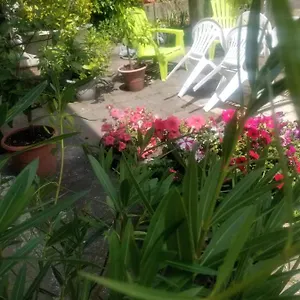 https://la-maison-saint-georges-de-mons.hotels-rhonealpes.com